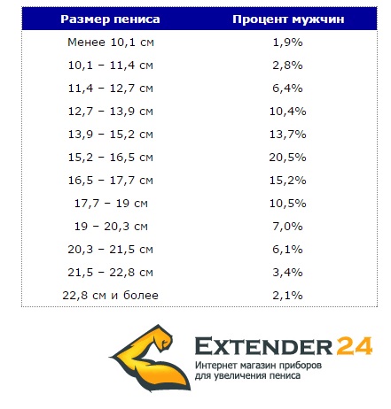 Сколько должен быть член в длину и толщину. Лучшая методика увеличения.