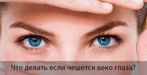 Что делать если чешется веко глаза 