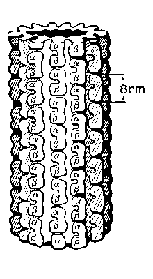 598667[1]