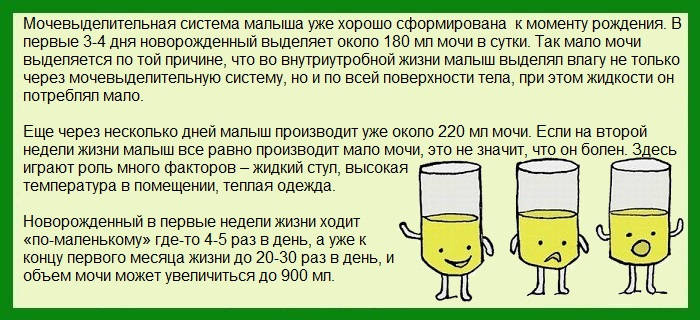 Анализ мочи у грудничка