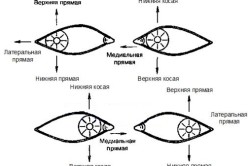 Диплопия при параличе отдельных мышц глаза