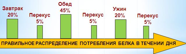Распределение белка