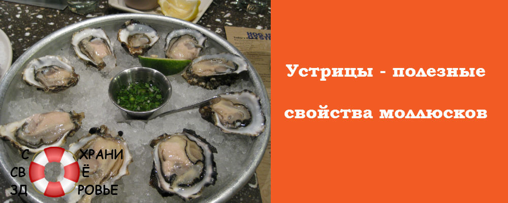 Устрицы. Полезные свойства