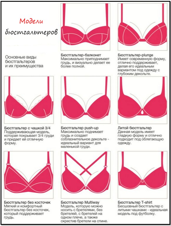 основные модели бюстгальтеров