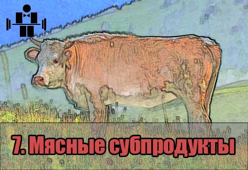 belkovaya_eda_myasnie_subprodukti_7