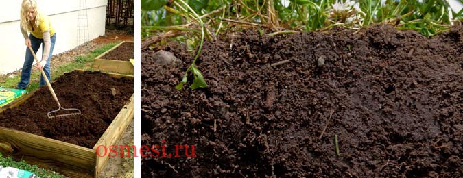 Почвенная смесь для рассады томатов
