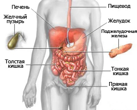 правый бок живота