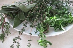 Что делать если болит зуб, народная медицина