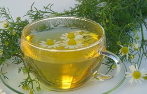 отвар из цветков ромашки