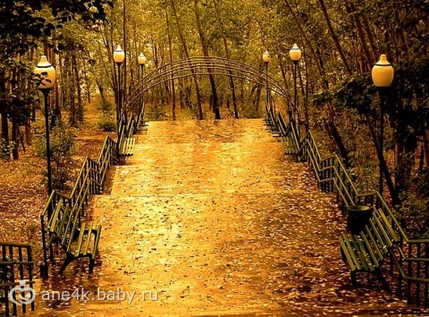 Лучшее время года для беременности