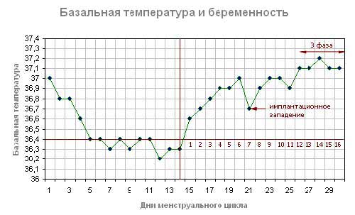 Базальная температура