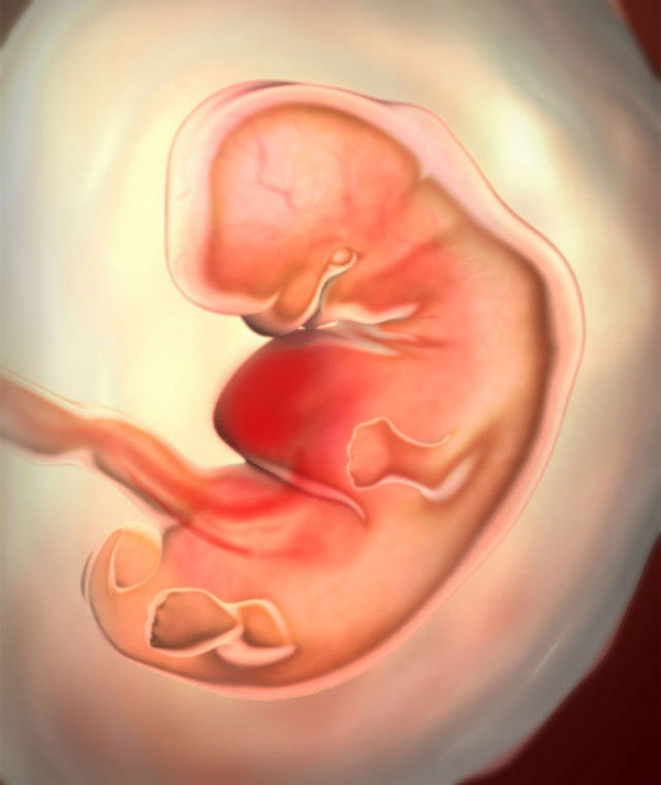 baby_week_6