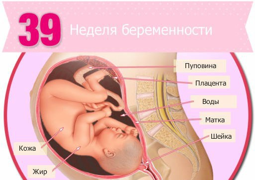 бер3