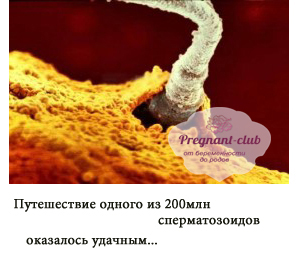 Внедрение
