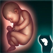 Иллюстрация с сайта http://www.bbc.co.uk/