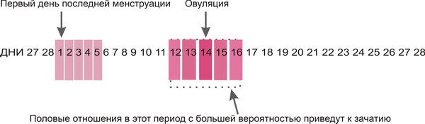 дни зачатия