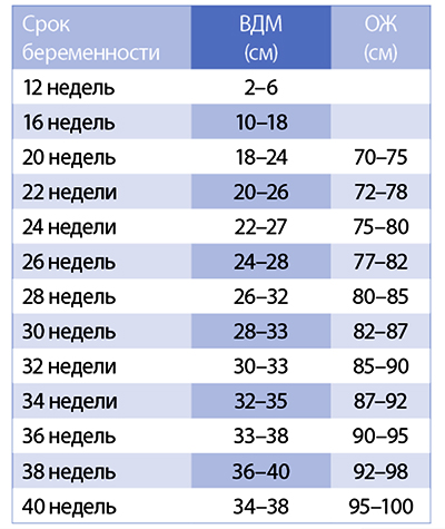 Как растет живот при беременности