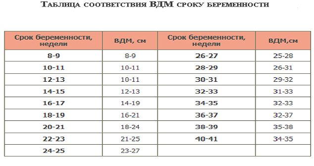 таблица соответствия ВДМ сроку беременности