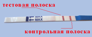 Как определить беременность без теста