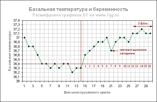 График базальной температуры при беременности