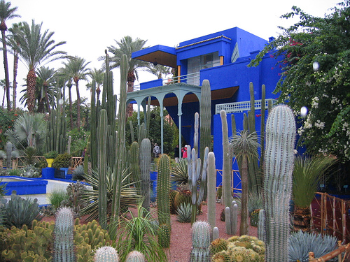 Majorelle garden