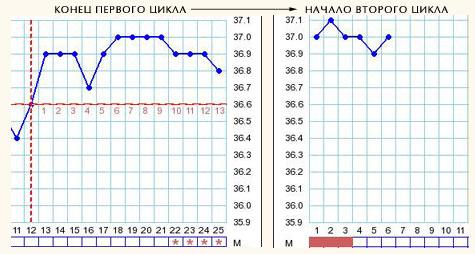 Расшифровка графика базальной температуры (БТ): Эндометрит