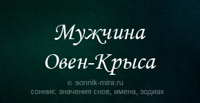 мужчина овен крыса