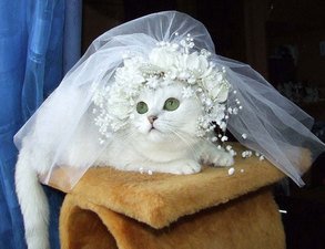 Свадебные приметы